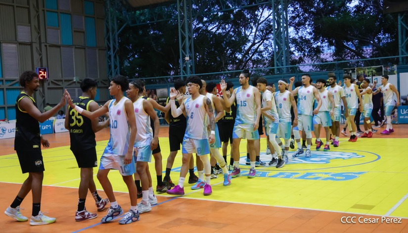 BASKET--(3)