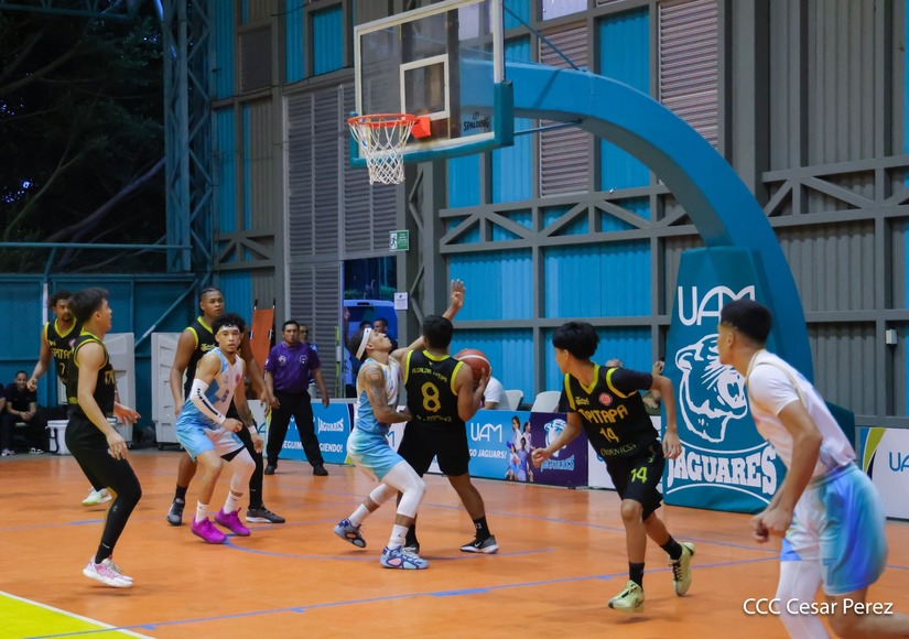 BASKET--(6)