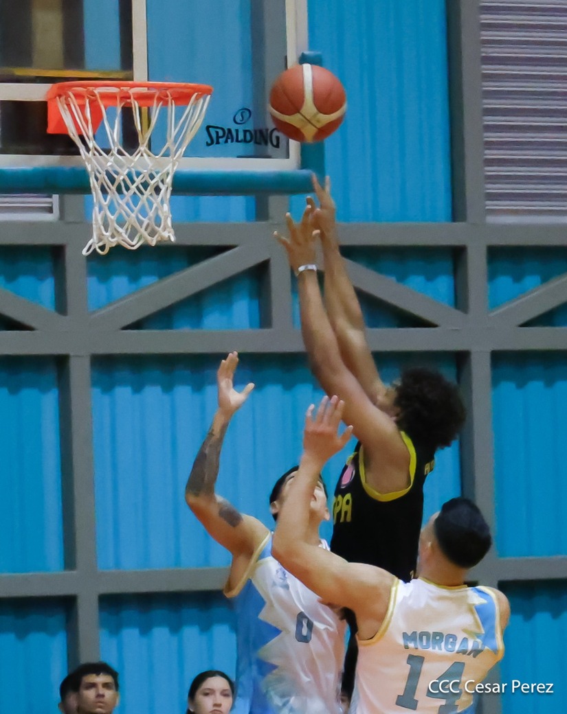 BASKET--(9)