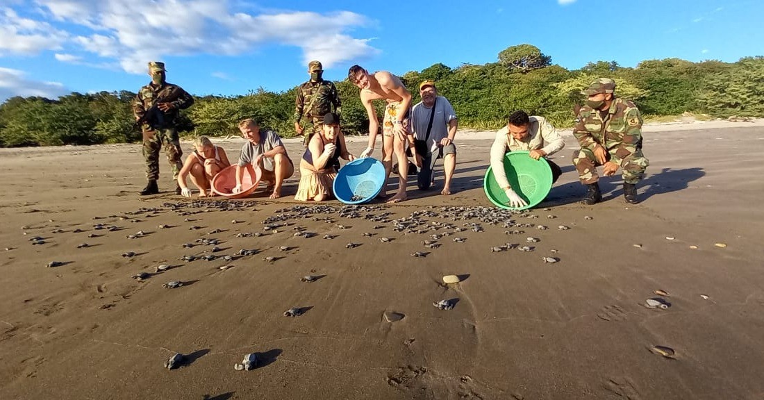 tortugas1