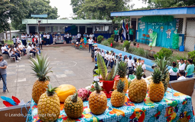 ESCUELA5