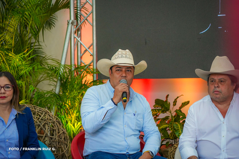 FERIA-6