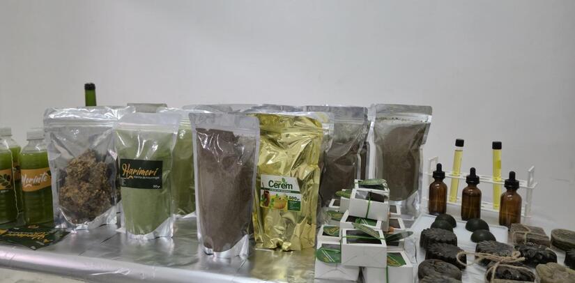 MORINGA1
