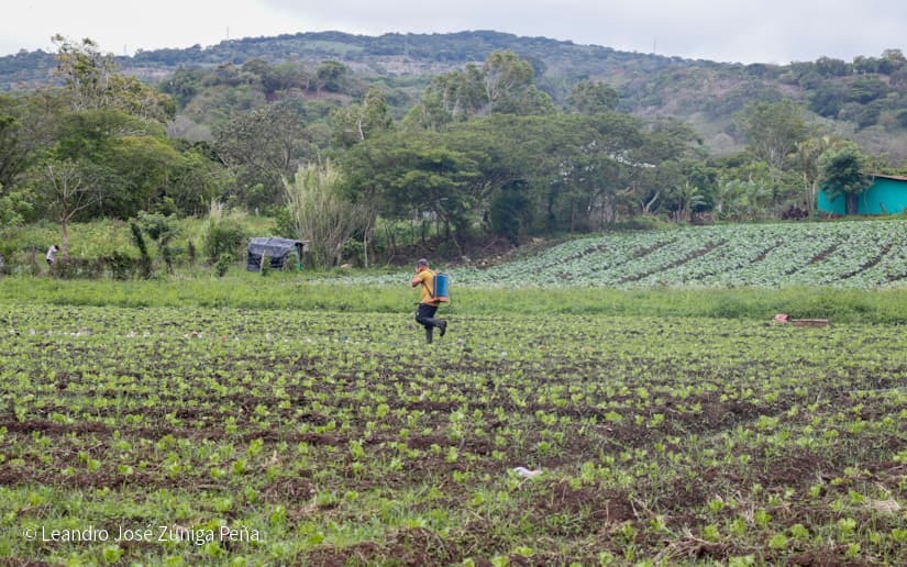 Productores-de-Jinotega-72