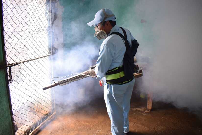 Fumigacion-5