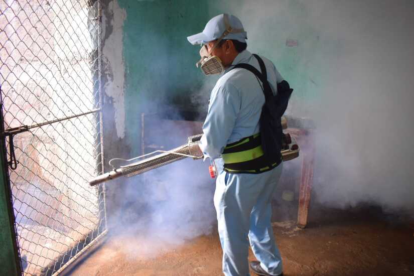 Fumigacion-6