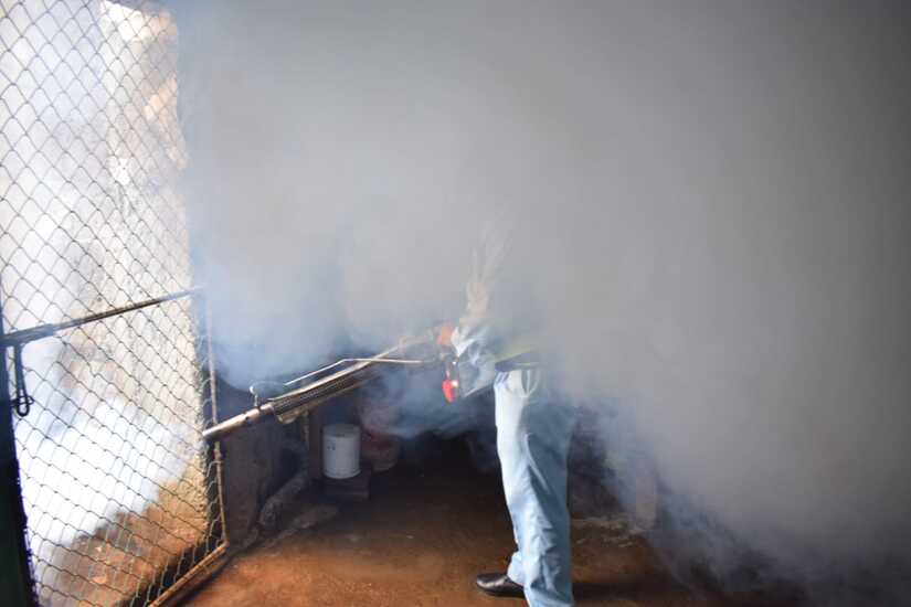 Fumigacion-9