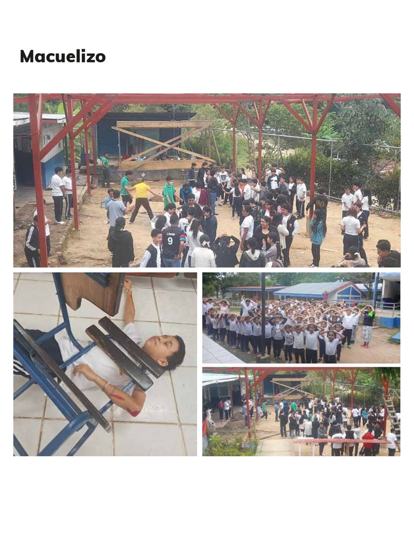 INFORME15