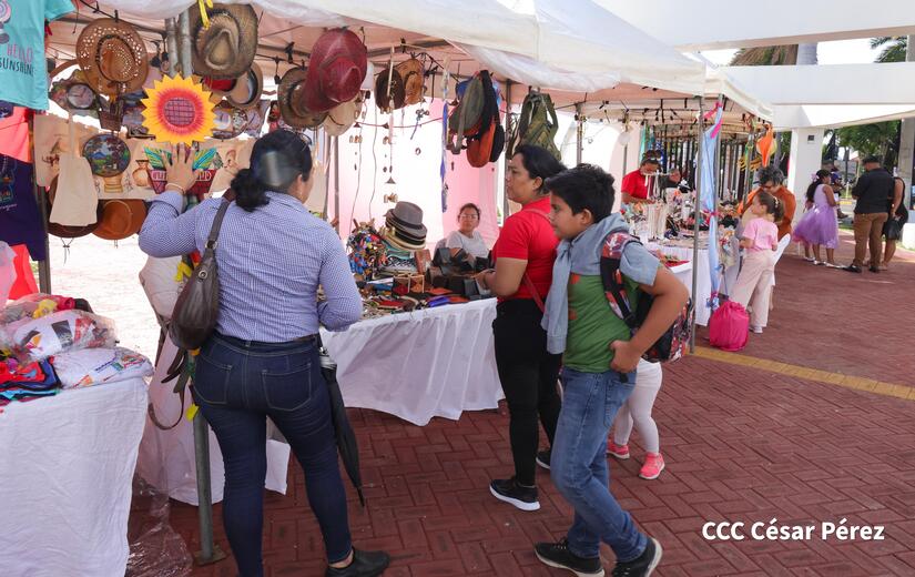 FERIA-(7)