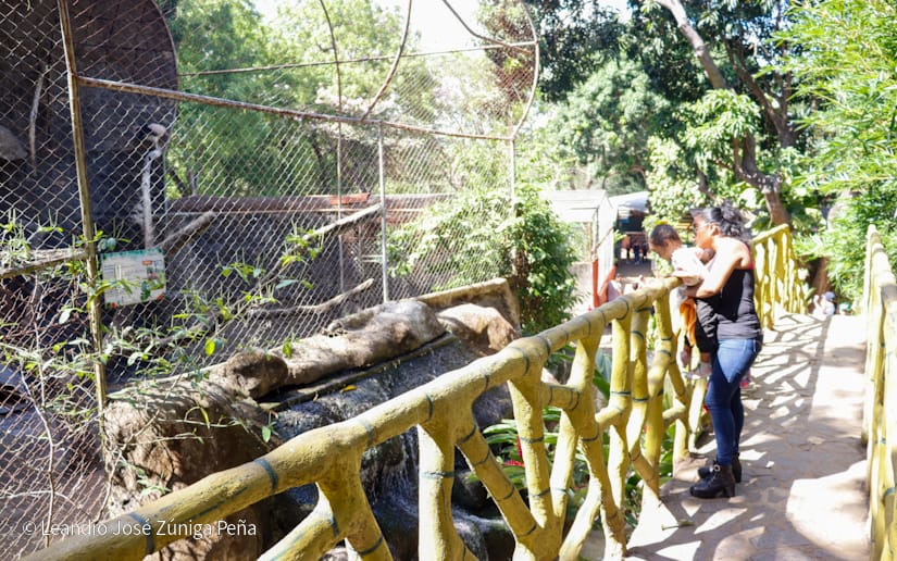 ZOOLOGICO-(2)