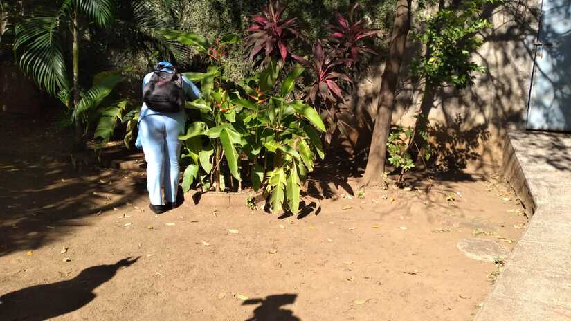 Jornada-de-Fumigacion-9