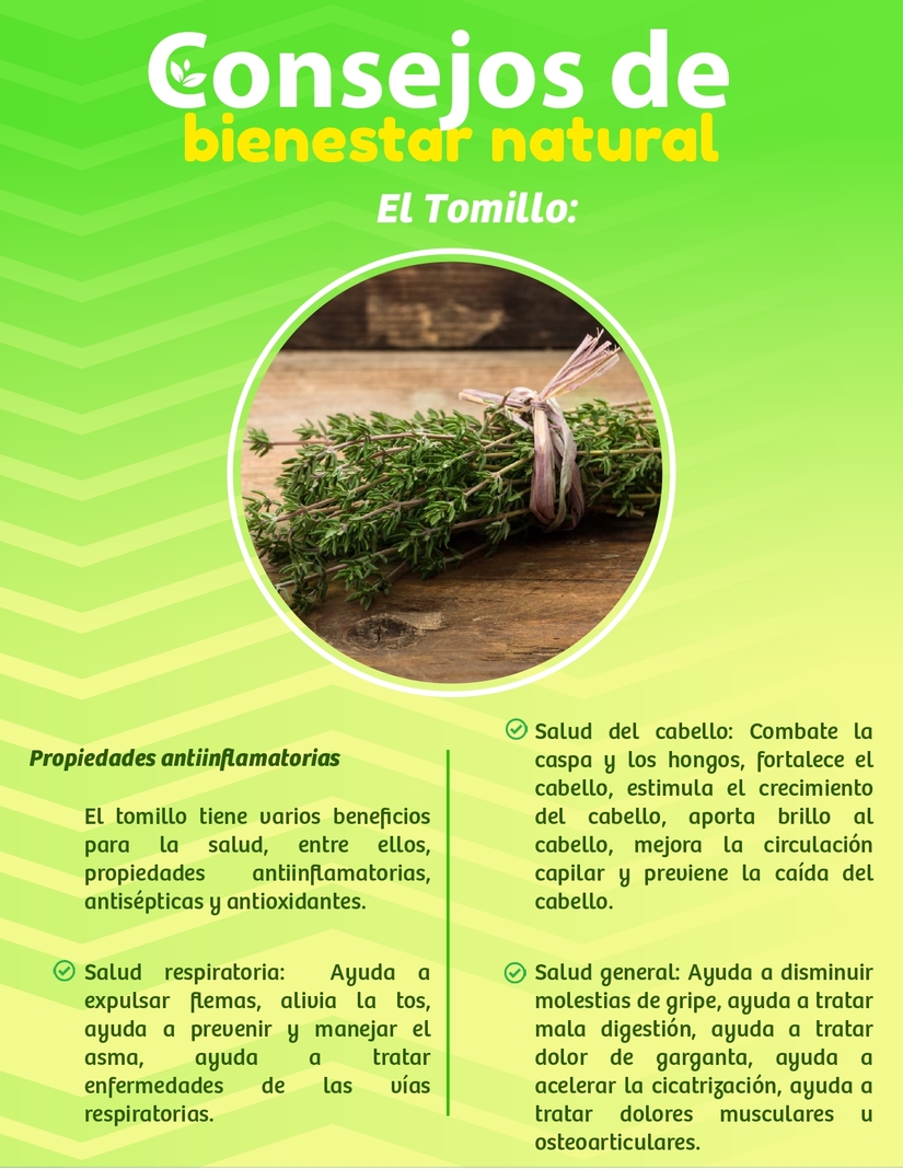 BOLETIN-INFORMATIVO-MINISTERIO-PARA-LA-PROMOCION-DE-EMPRENDIMIENTOS-DEL-03-AL-09-DE-MARZO-2025__page-0012