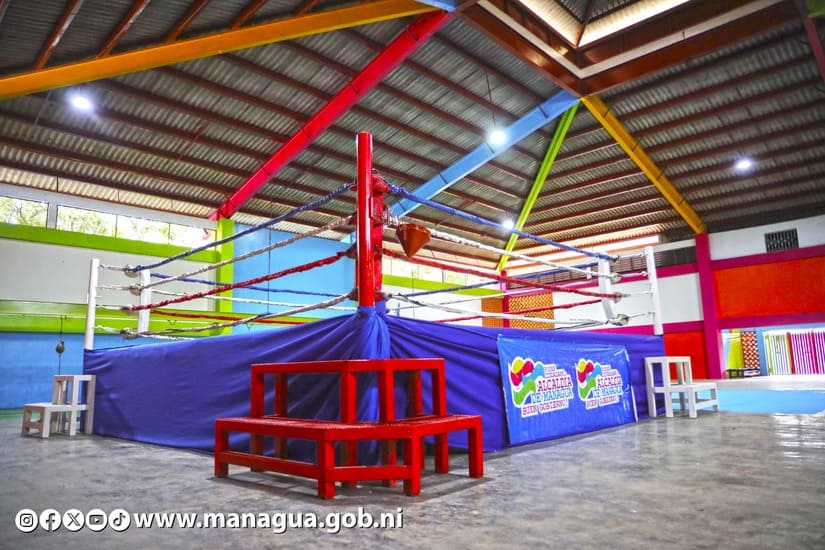 GIMNASIO11