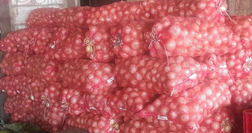 Produccion-de-cebolla-en-Nicaragua-2