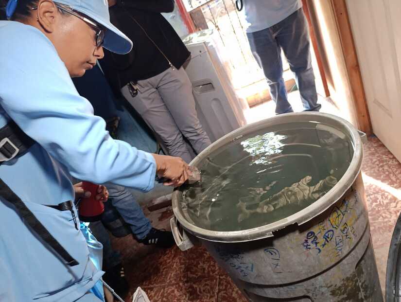 Brigadas-de-fumigacion-y-abatizacion-6