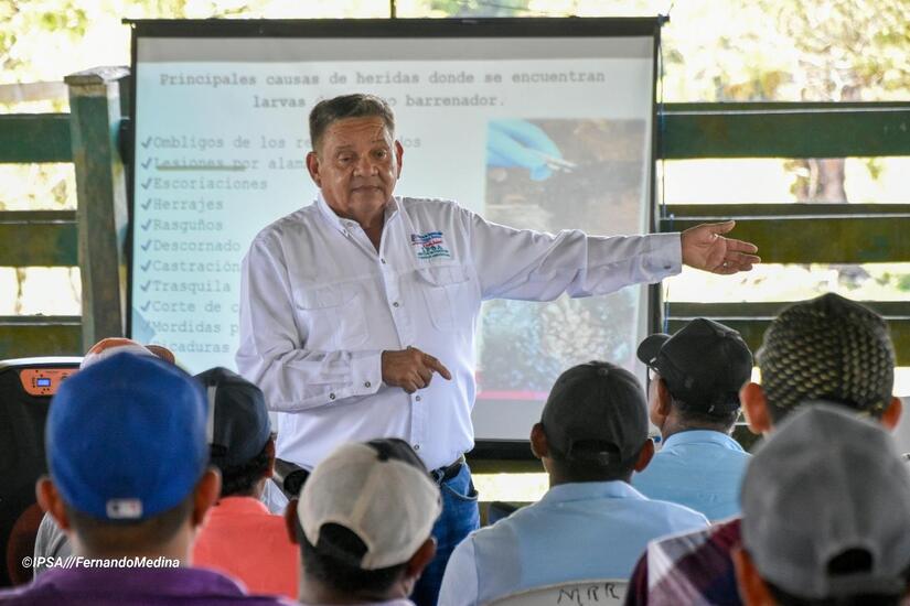 IPSA2