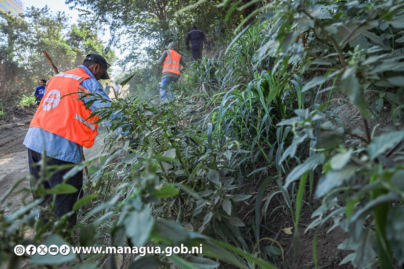 Alcaldia-de-Managua-11