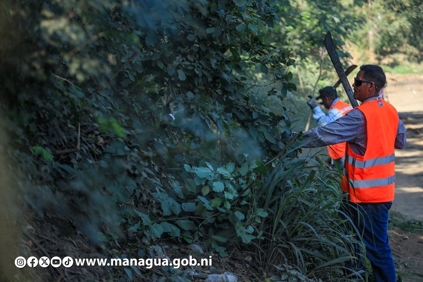 Alcaldia-de-Managua-12