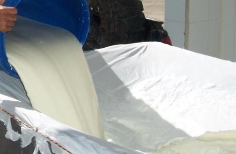 Produccion-de-Leche-en-Nicaragua-3