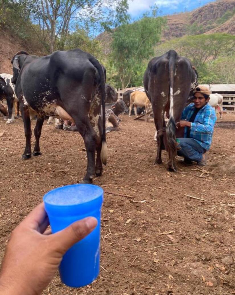 Produccion-de-Leche-en-Nicaragua-4