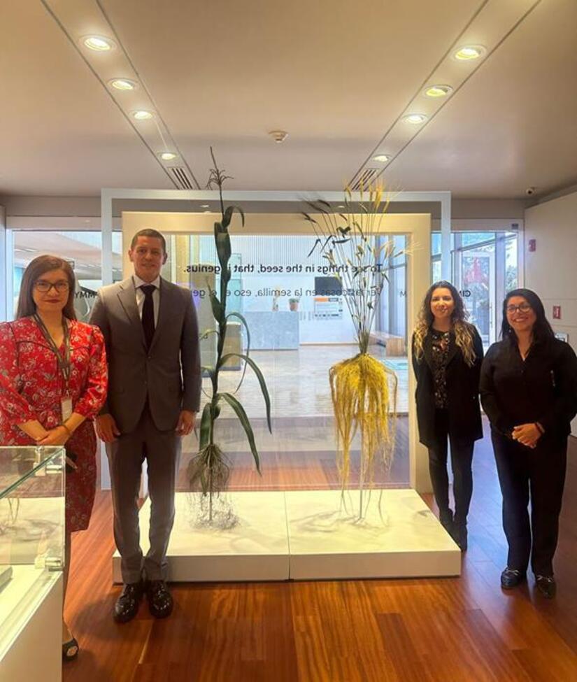 Embajada-de-Nicaragua-en-Mexico-11