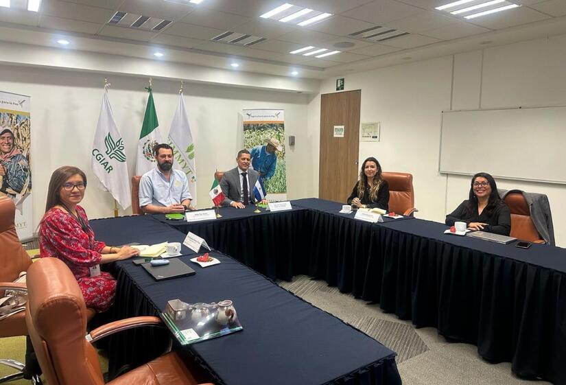 Embajada-de-Nicaragua-en-Mexico-8