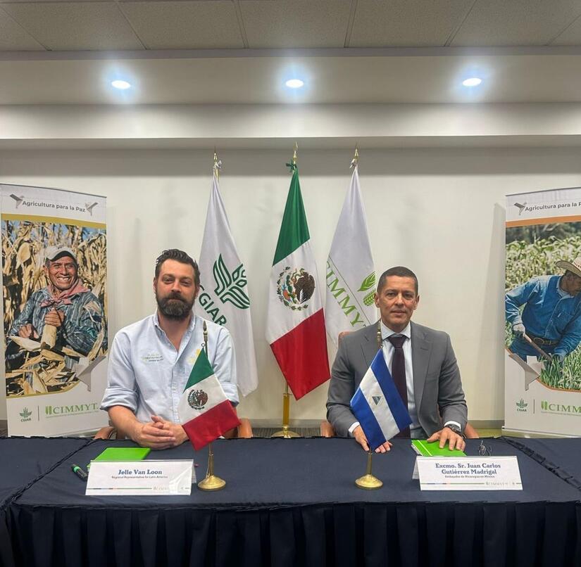 Embajada-de-Nicaragua-en-Mexico-9