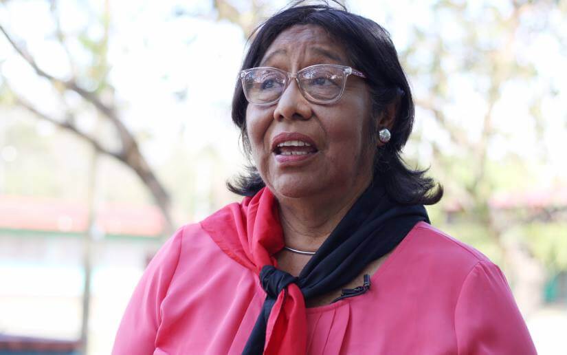 brigadista-alfabetizador-1