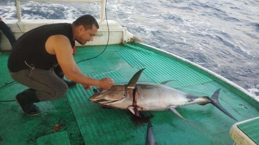 INPESCA1