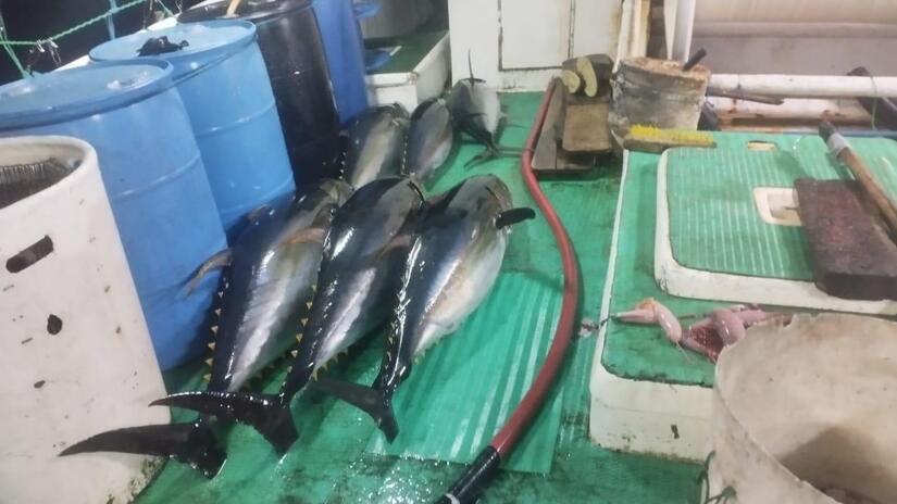 INPESCA6