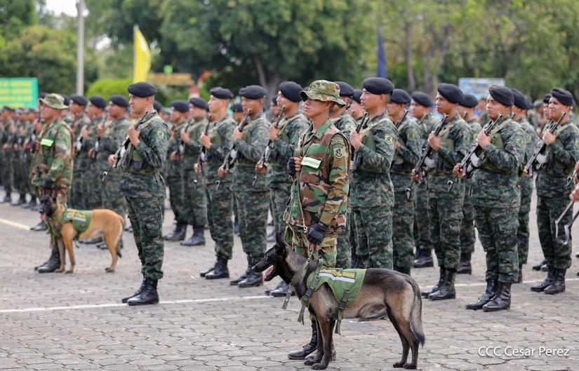 Produccion-Cafetalera--(14)