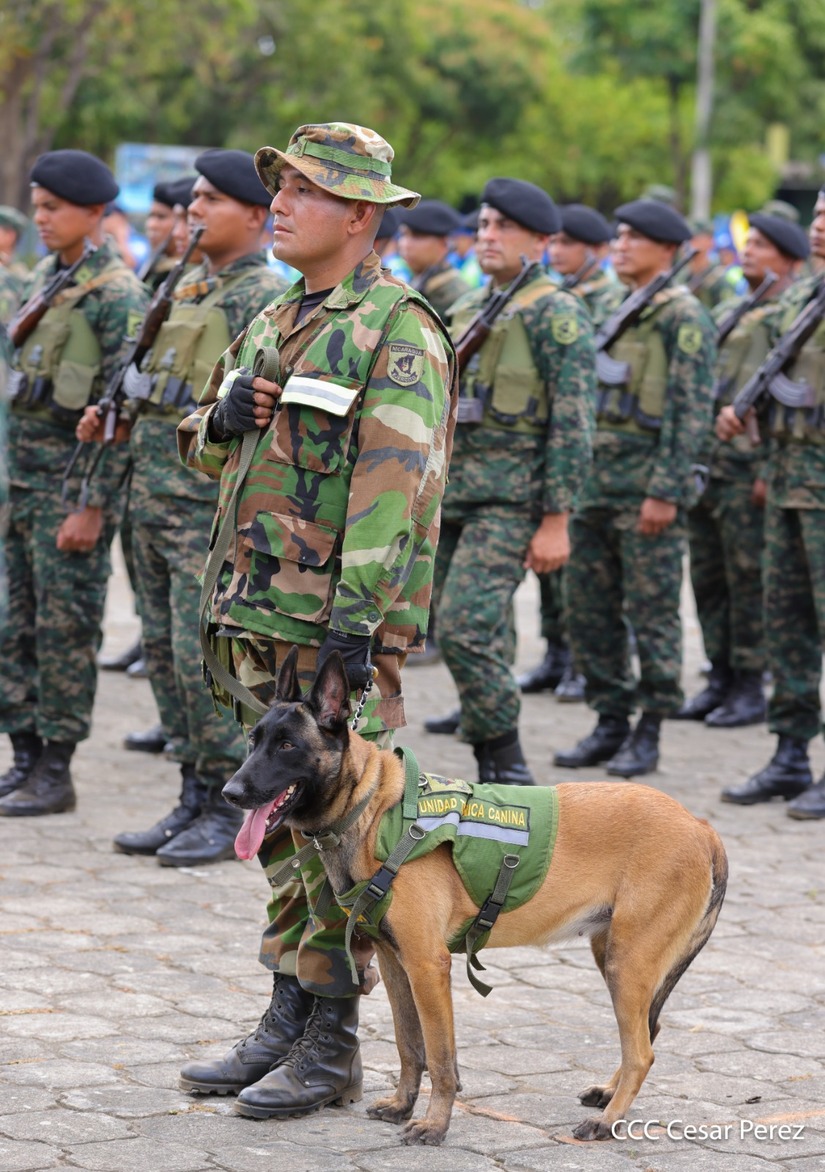 Produccion-Cafetalera--(20)