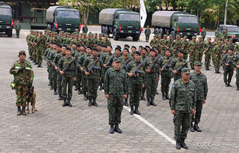 Produccion-Cafetalera--(28)