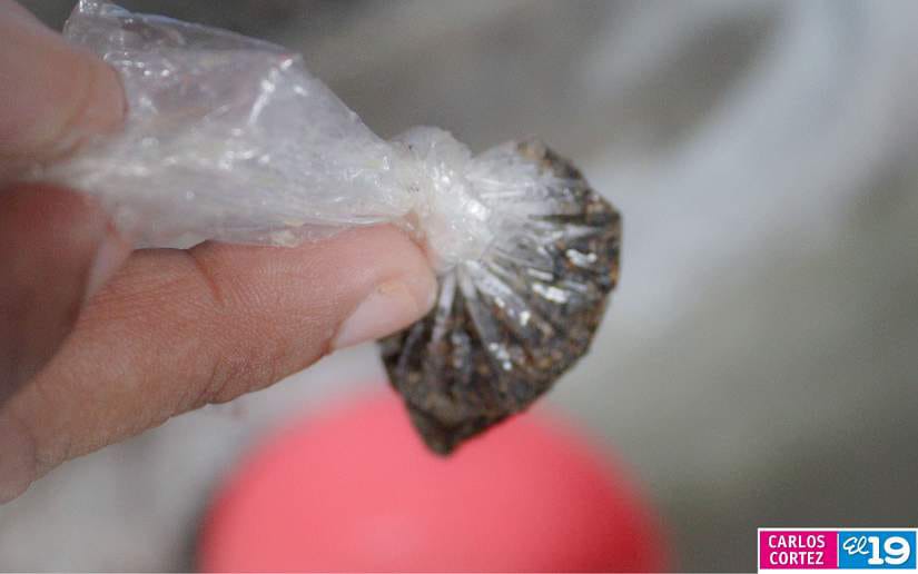 BRIGADAS-DE-FUMIGACION-1