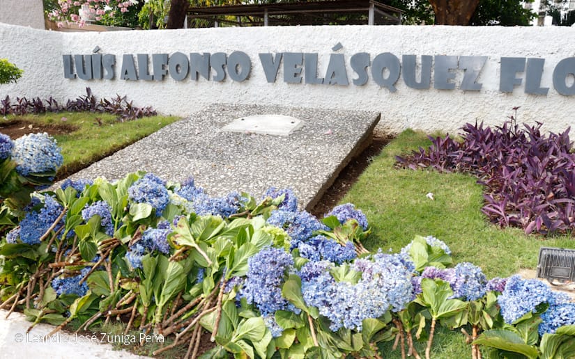 Luis-Alfonso-Velasquez-Flores-1