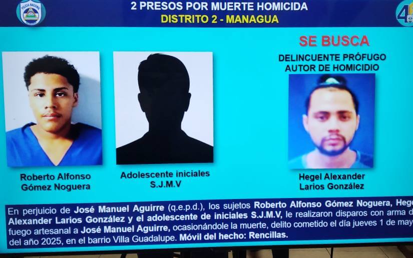 informe-delicuencia-3