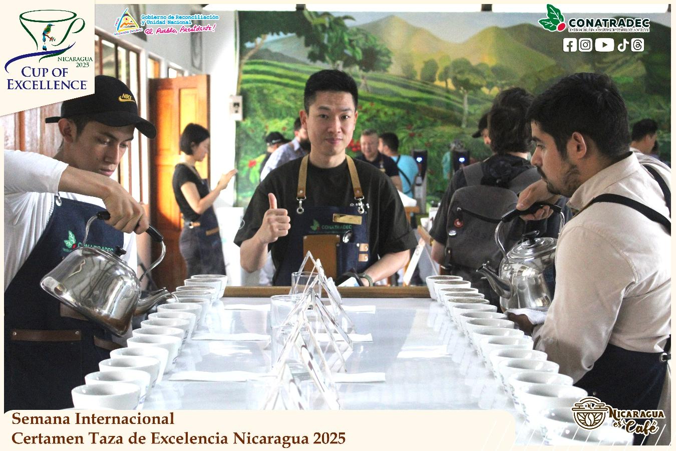 taza-de-la-excelencia2