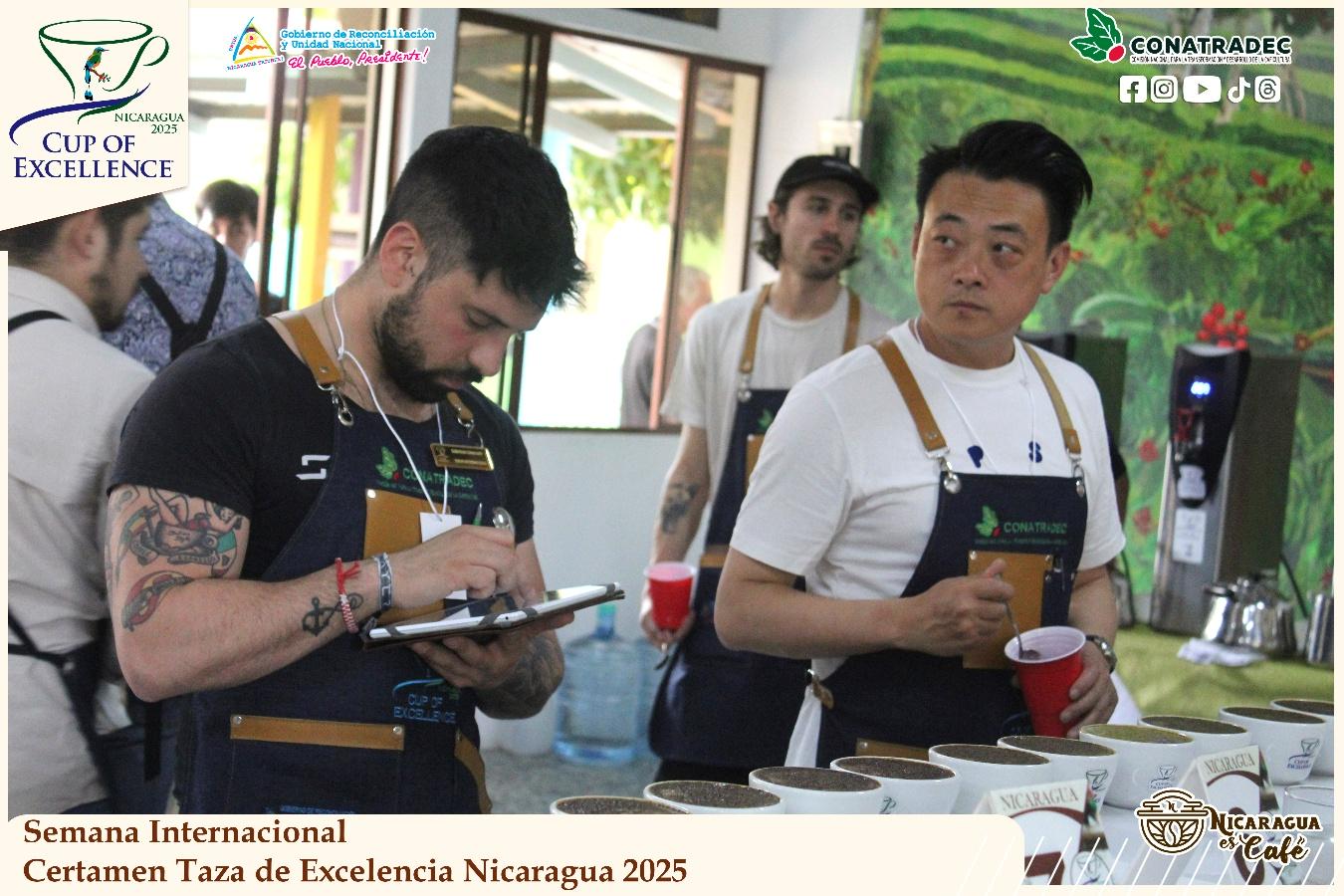 taza-de-la-excelencia4