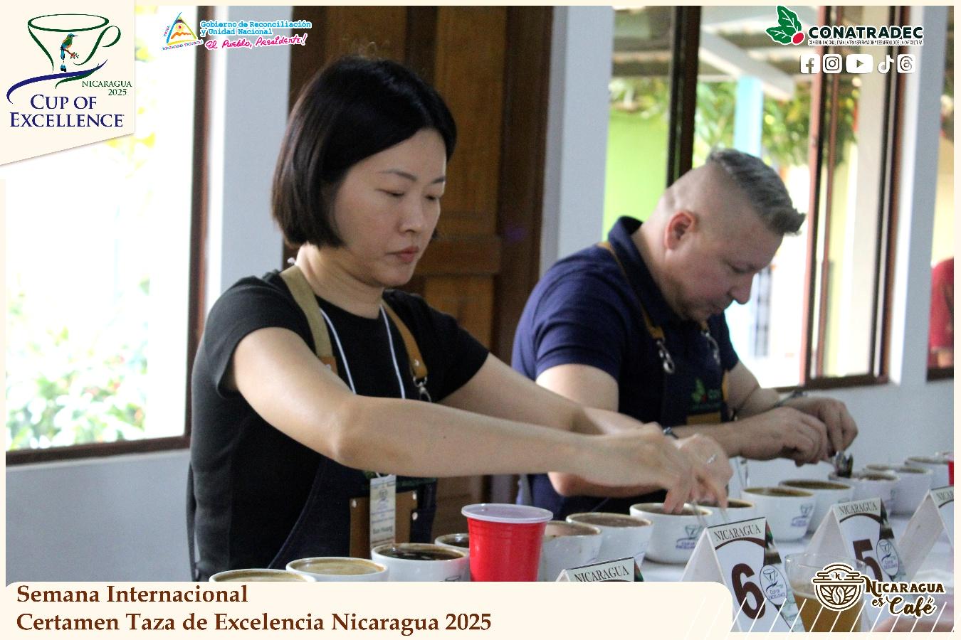 taza-de-la-excelencia5