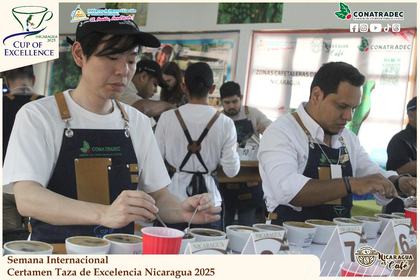 taza-de-la-excelencia6