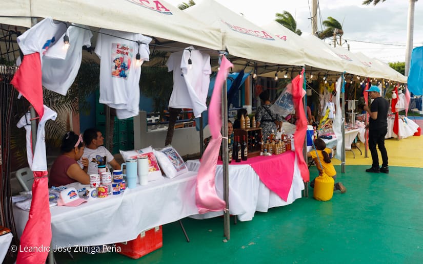 Puerto-Salvador-Allende--(35)