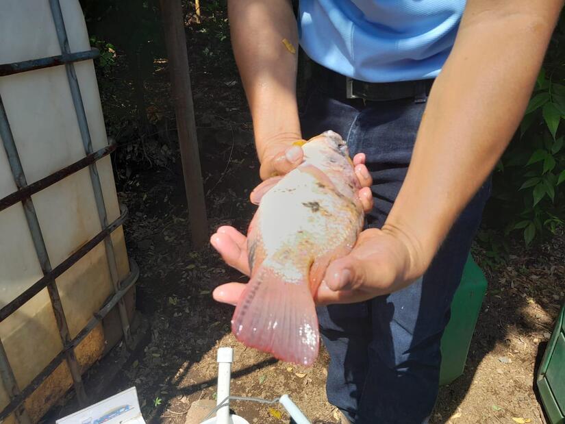 INPESCA-(13)