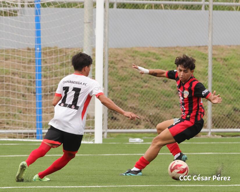 ESTADIO25