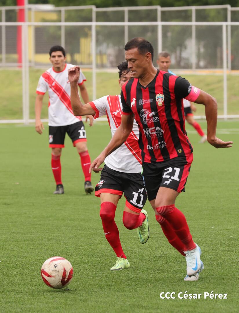 ESTADIO29