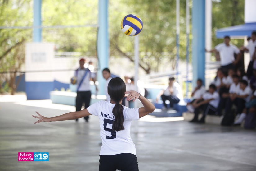 VOLEI01