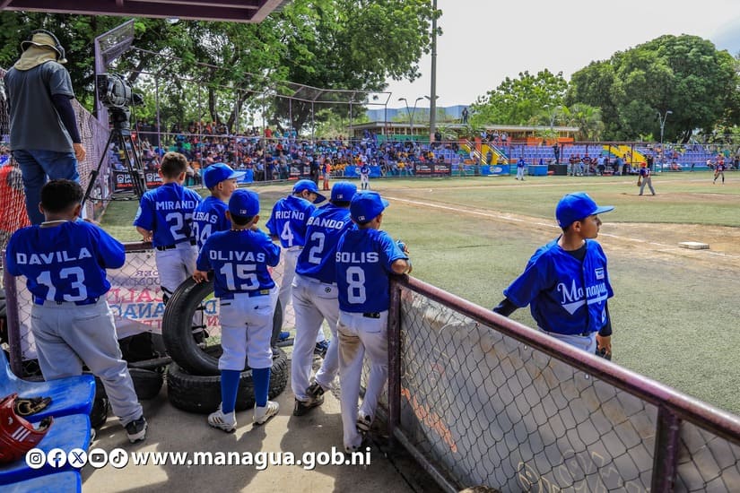 BEISBOL15