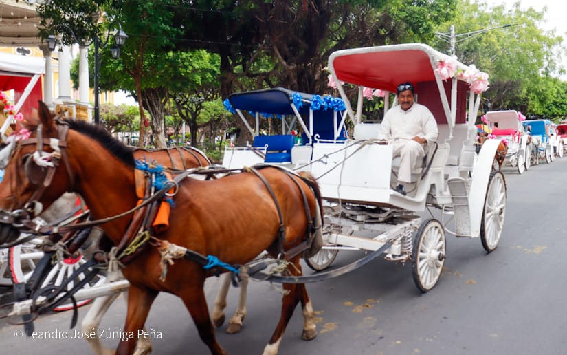 GRANADA-TURISMO--(20)