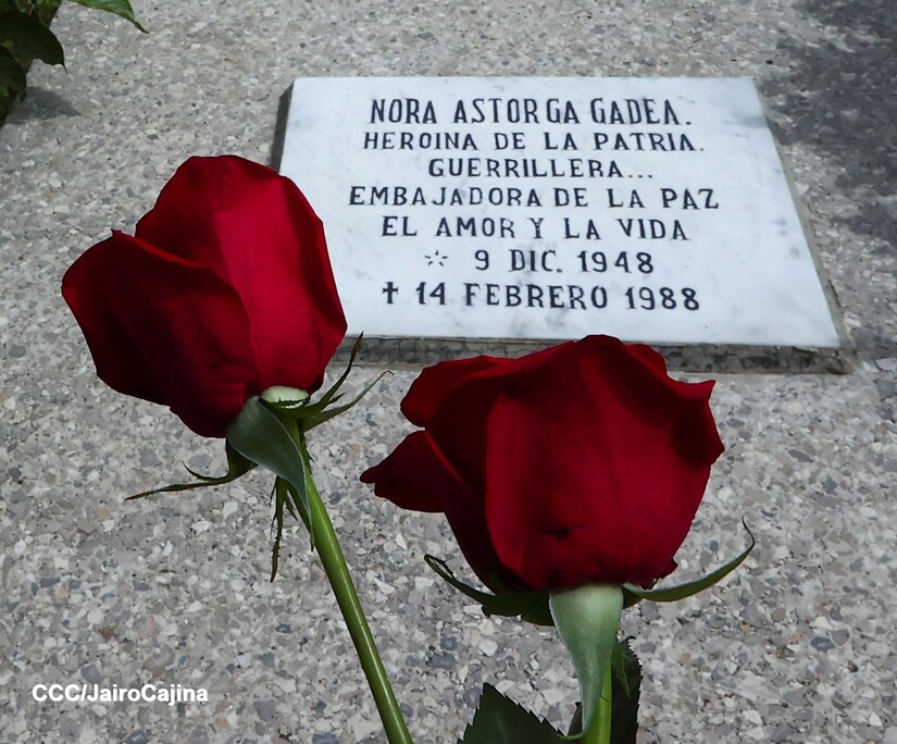 FLORES-(29)