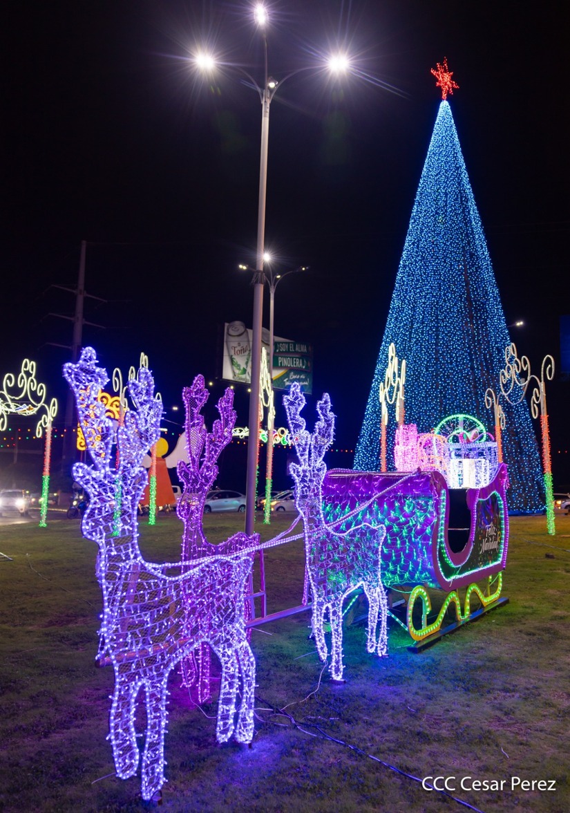 Adornos-Navidad-Managua--(11)