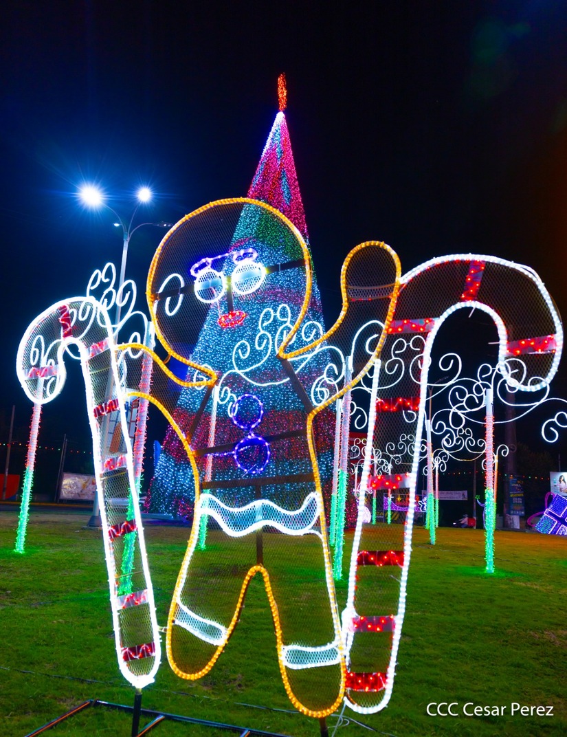 Adornos-Navidad-Managua--(14)